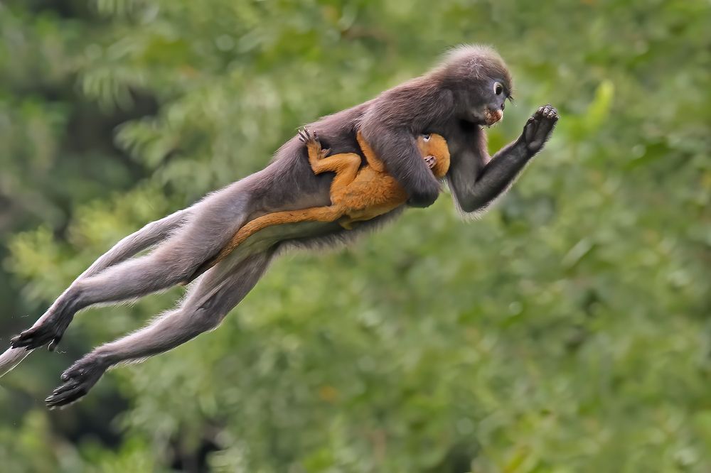 Photograph by Graeme Guy