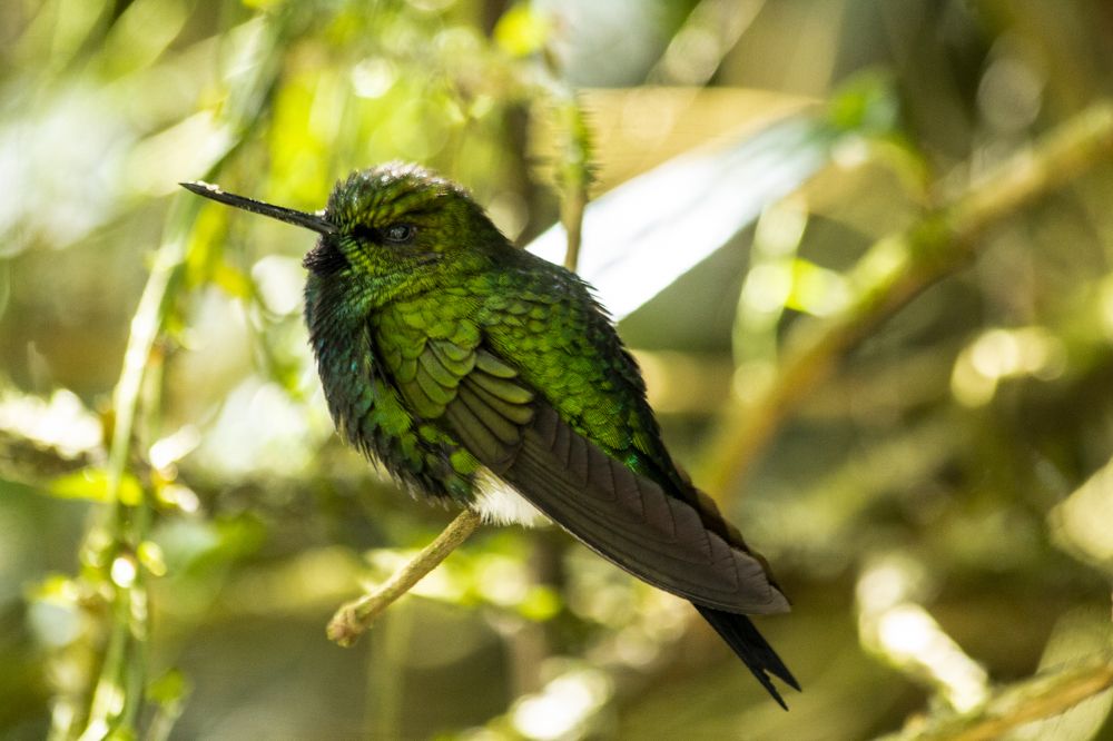 Photograph by Iván René Carreño Jeréz