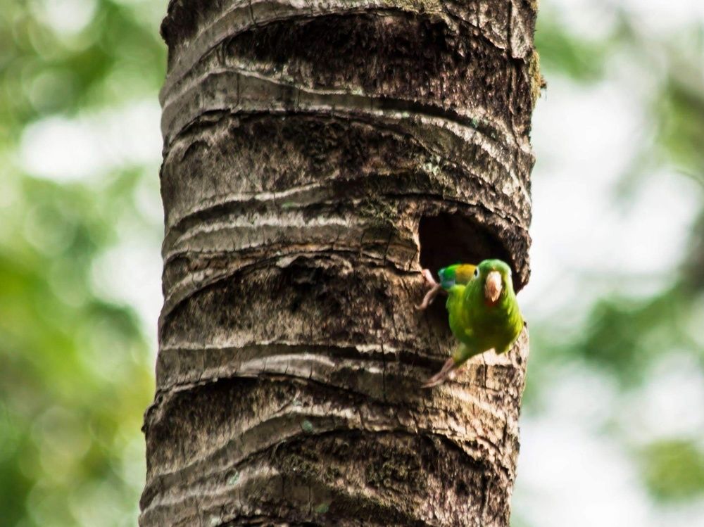 Photograph by Iván René Carreño Jeréz