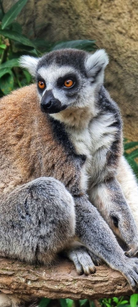 Photograph by Angelisa Gonzalez