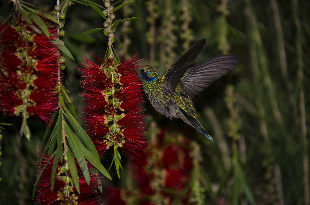 Photograph by Angelisa Gonzalez