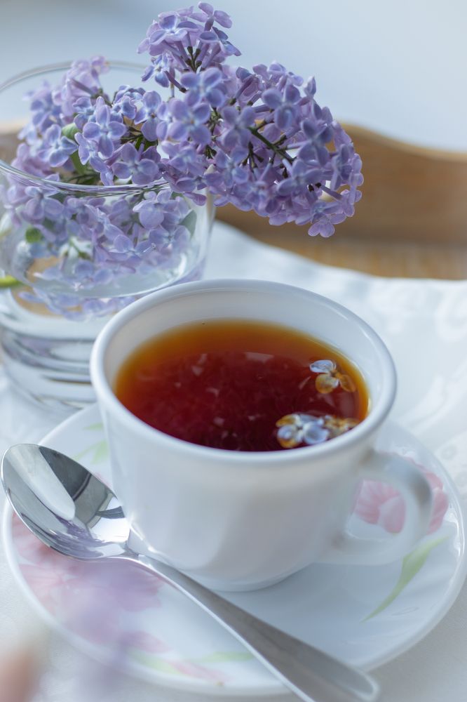 Photograph by Наталья Мотрий