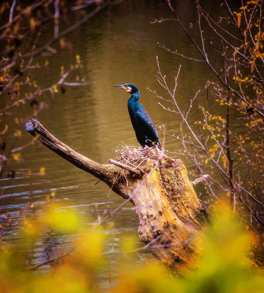 Photograph by Igor Lukin