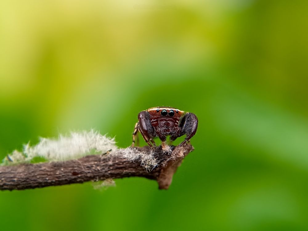 Photograph by Damitha Damitha