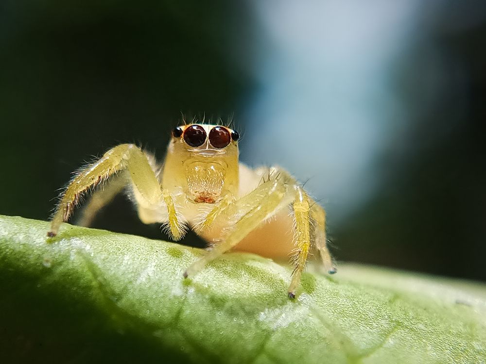 Photograph by Damitha Damitha