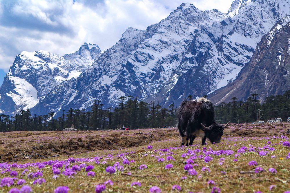 Photograph by Shameek Mukherjee