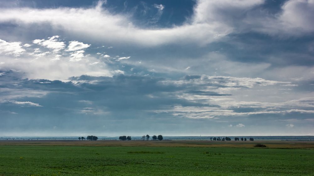 После дождя