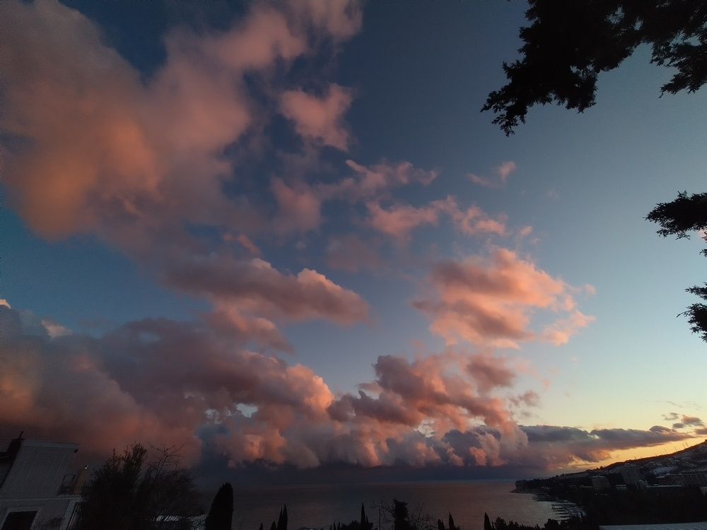 Photo #7746979