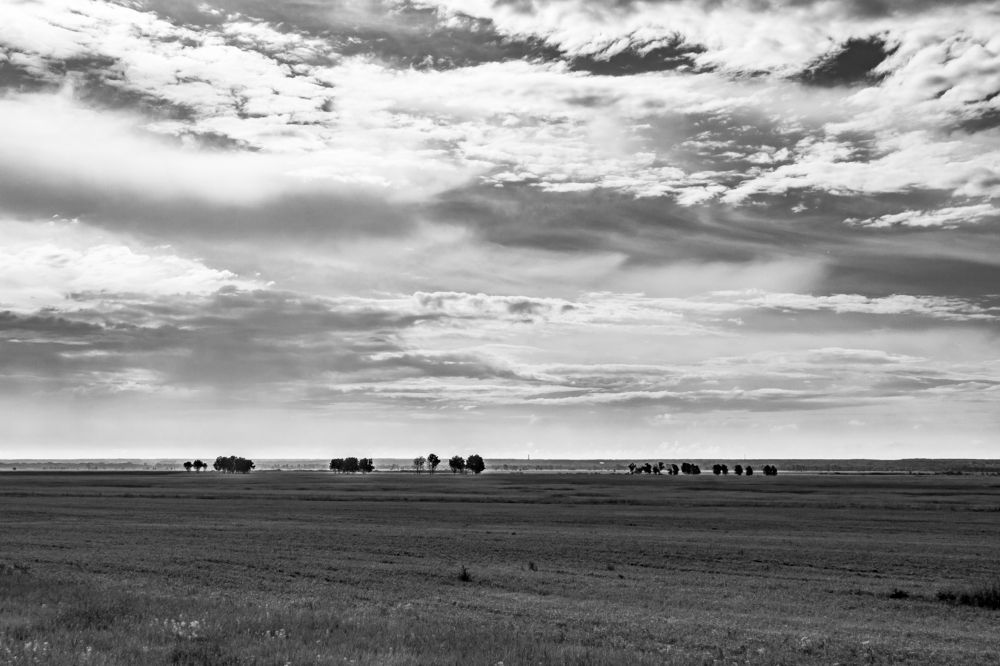 Photograph by Екатерина Кузьмичева