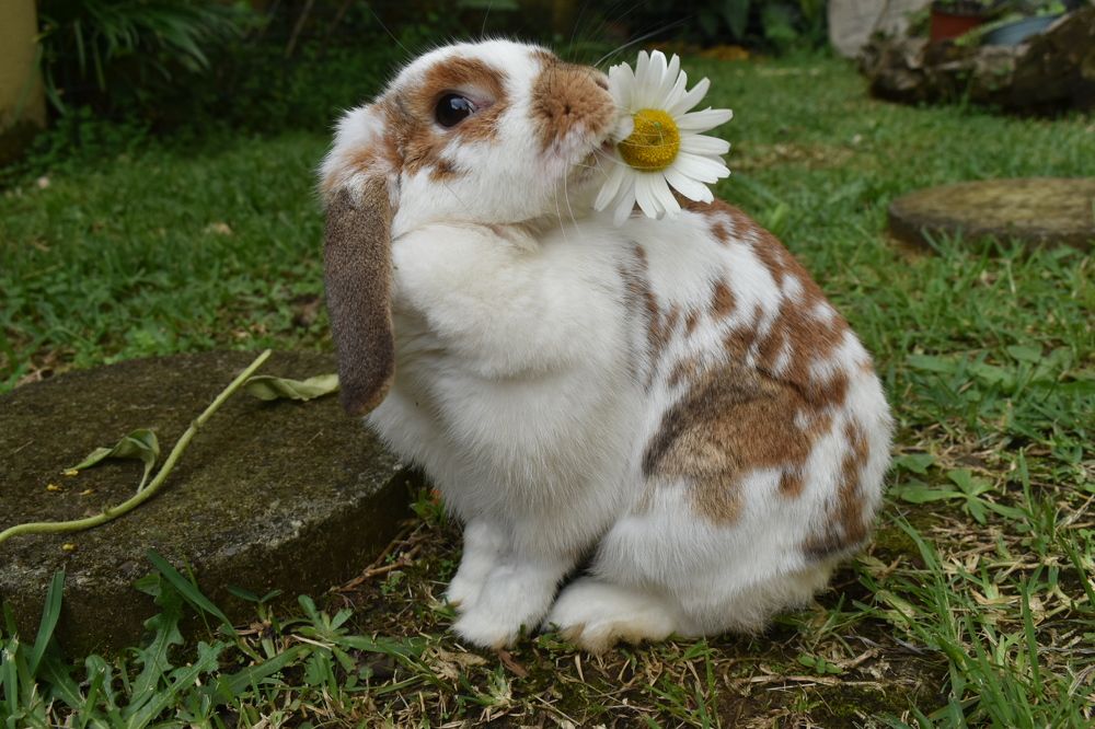 Photograph by Virginia Azocar