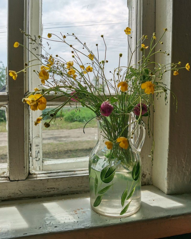 Photograph by Oxana Kostsova