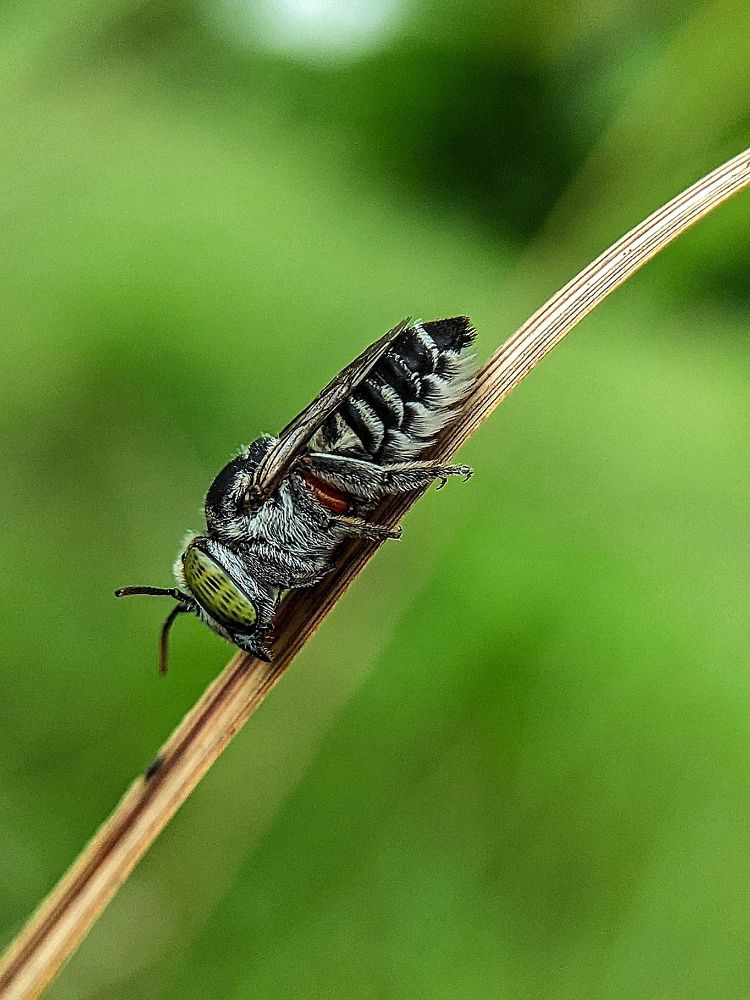 Photograph by Yernaidu Nelipudi