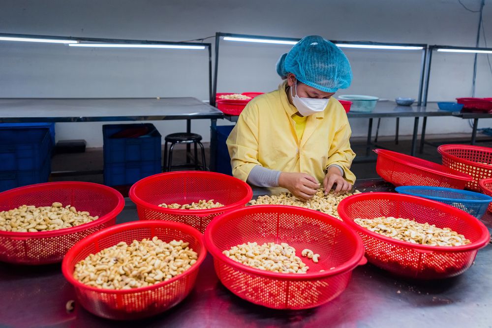 Photograph by Van Nguyen