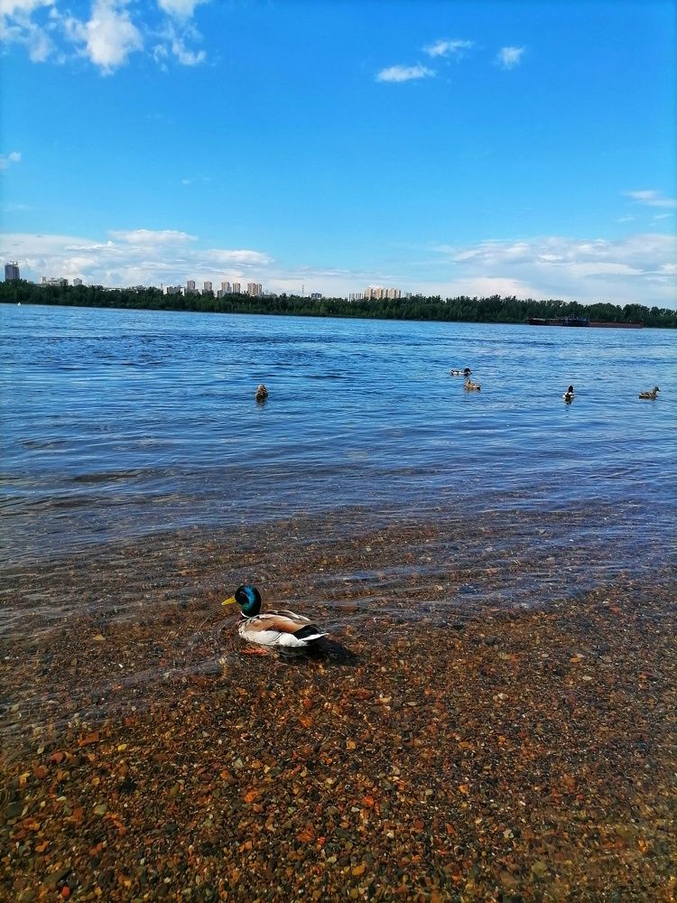 Photograph by Варвара Арефьева