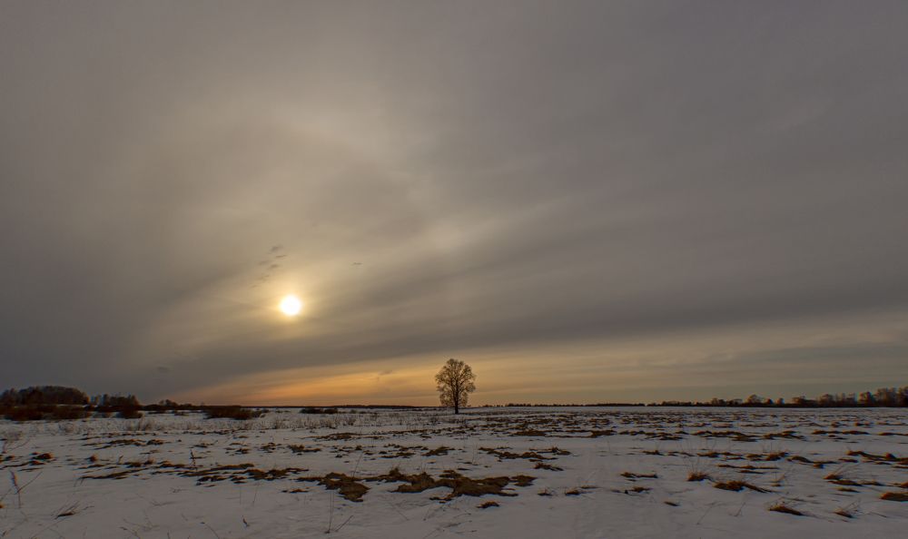 Photograph by Владимир Портуаров