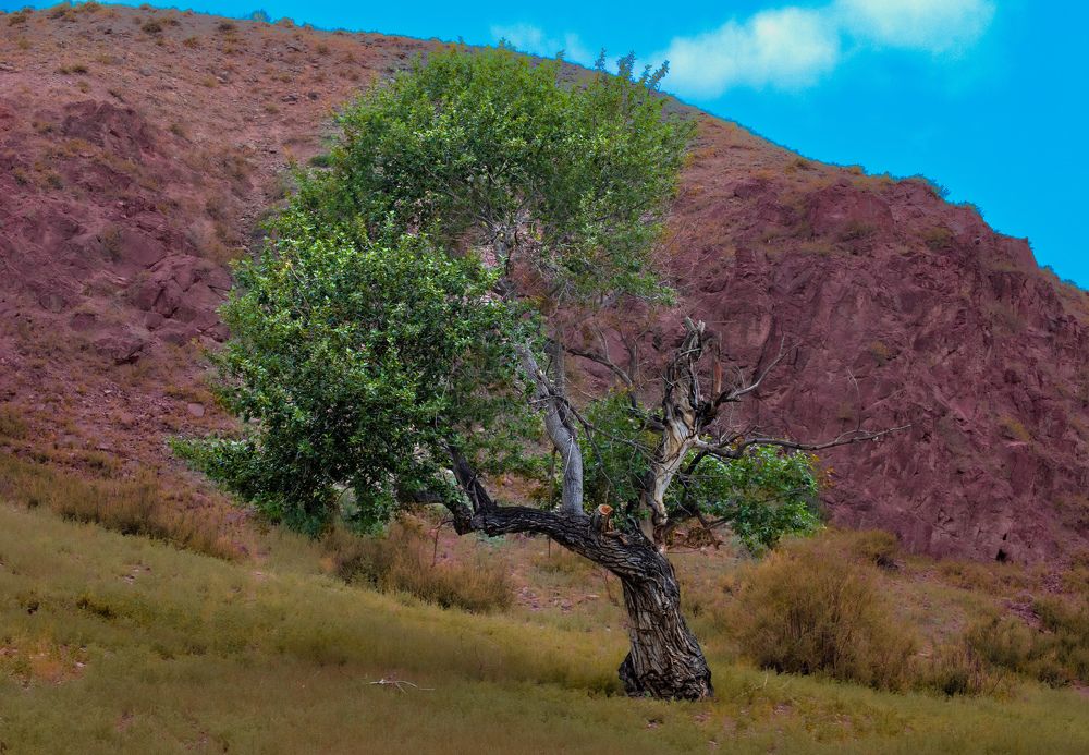 Photograph by Konstantin