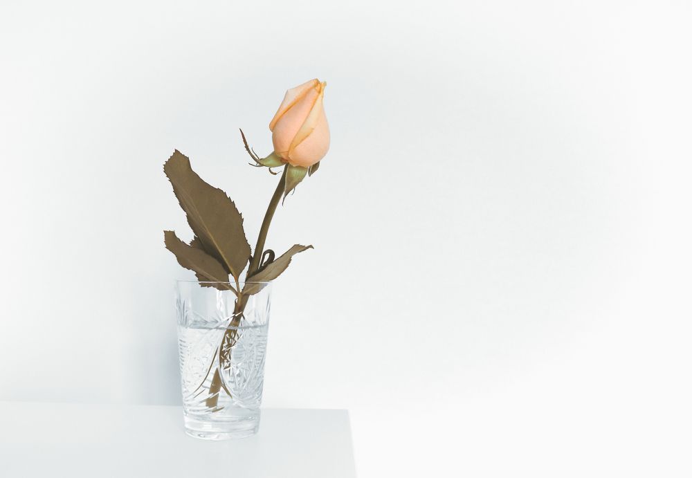 Photograph by Дмитрий Фадеев