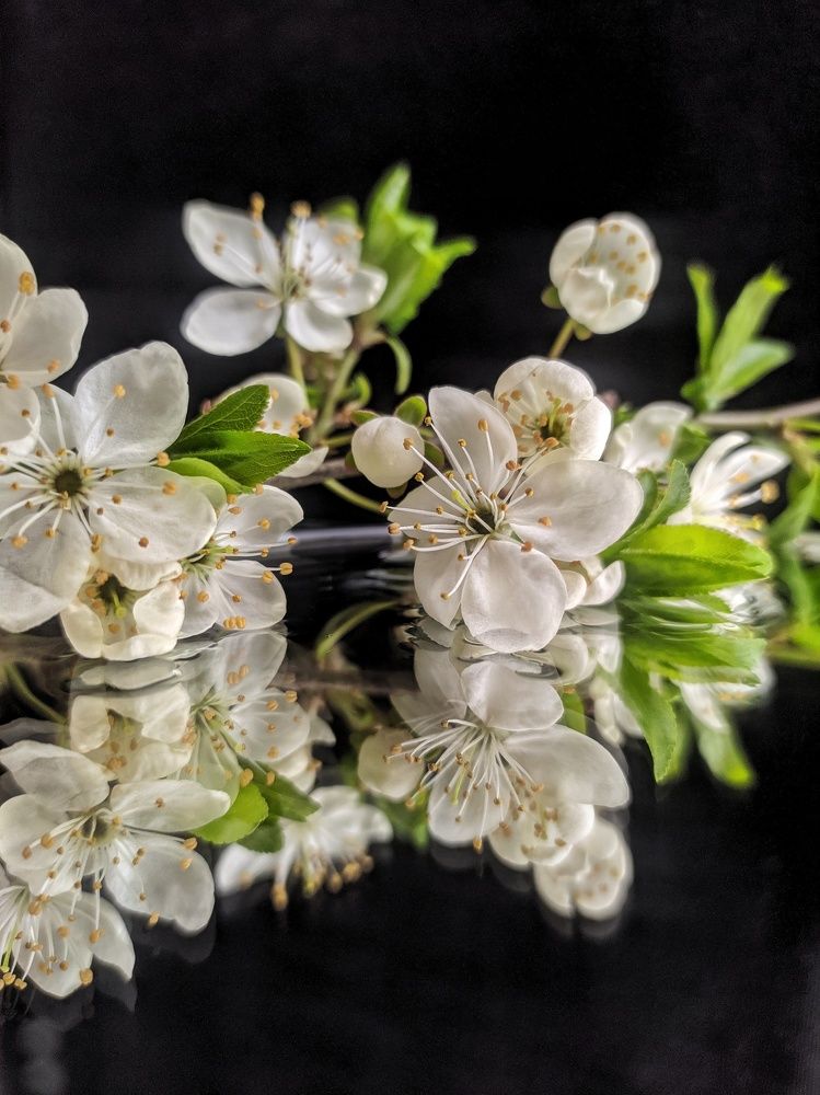 Photograph by Ольга Кишкилевич