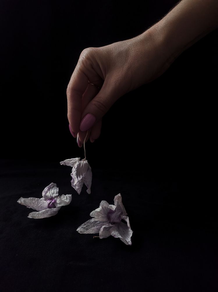 Photograph by Ольга Кишкилевич