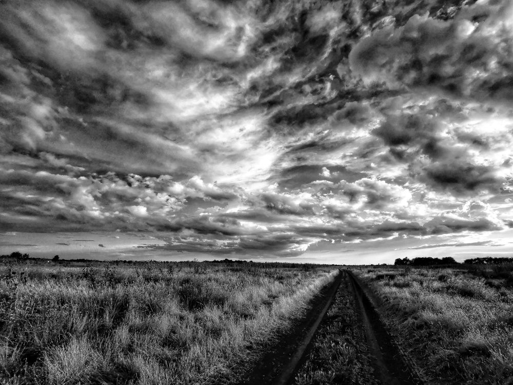 Photograph by Елена Артёменко