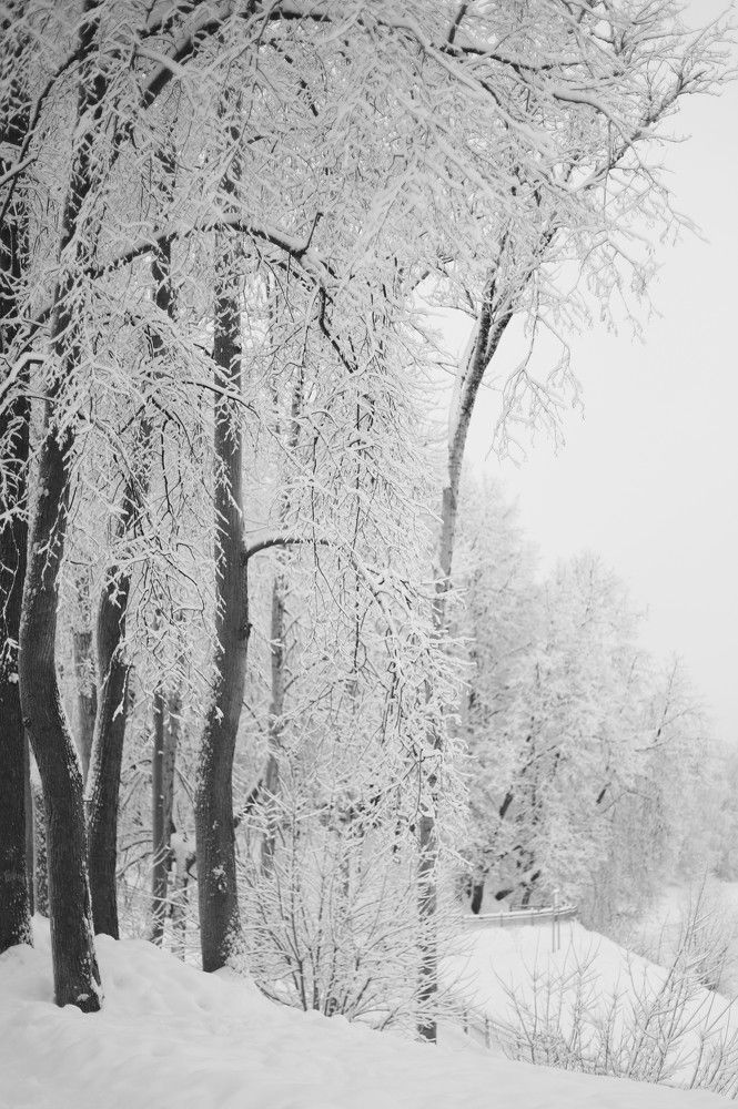 Photograph by Ася Радченко