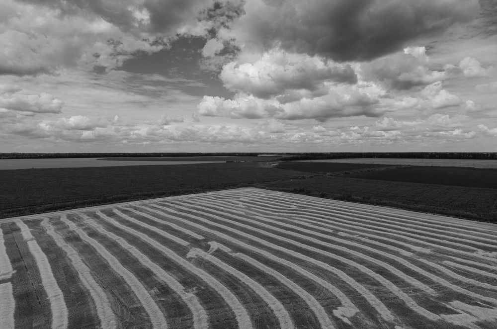 Photograph by Редько Александр