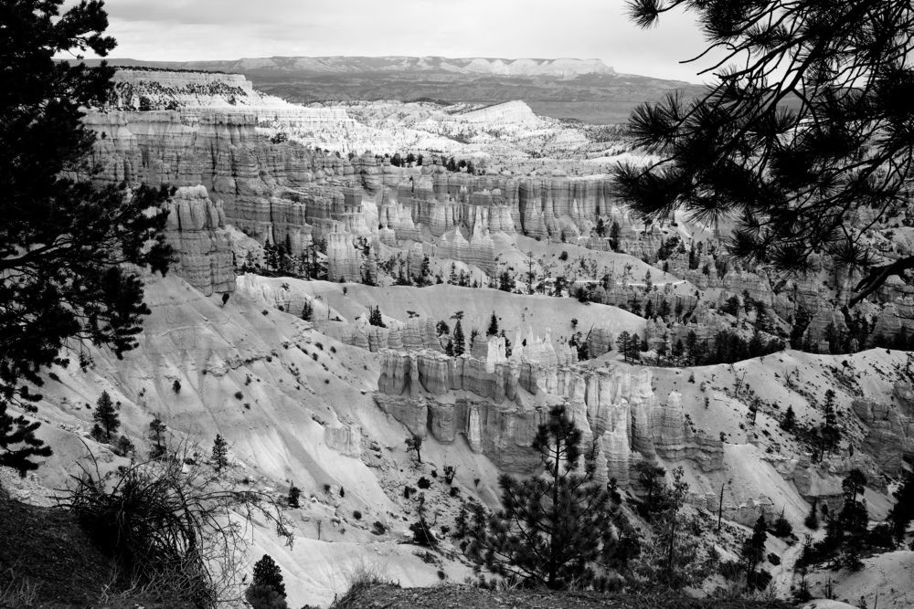 Photograph by Ирина Корнева