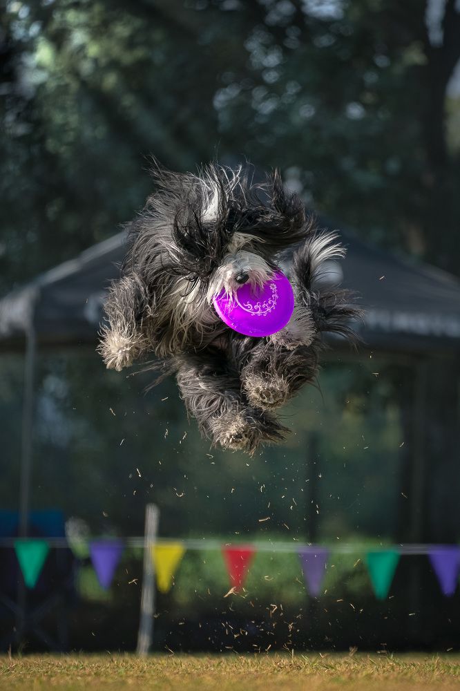 Фотография автора Mattia Gorno