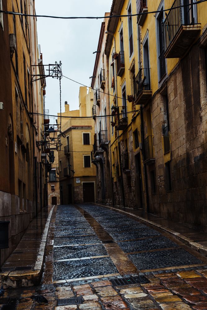 Фотография автора Елена Ельшина