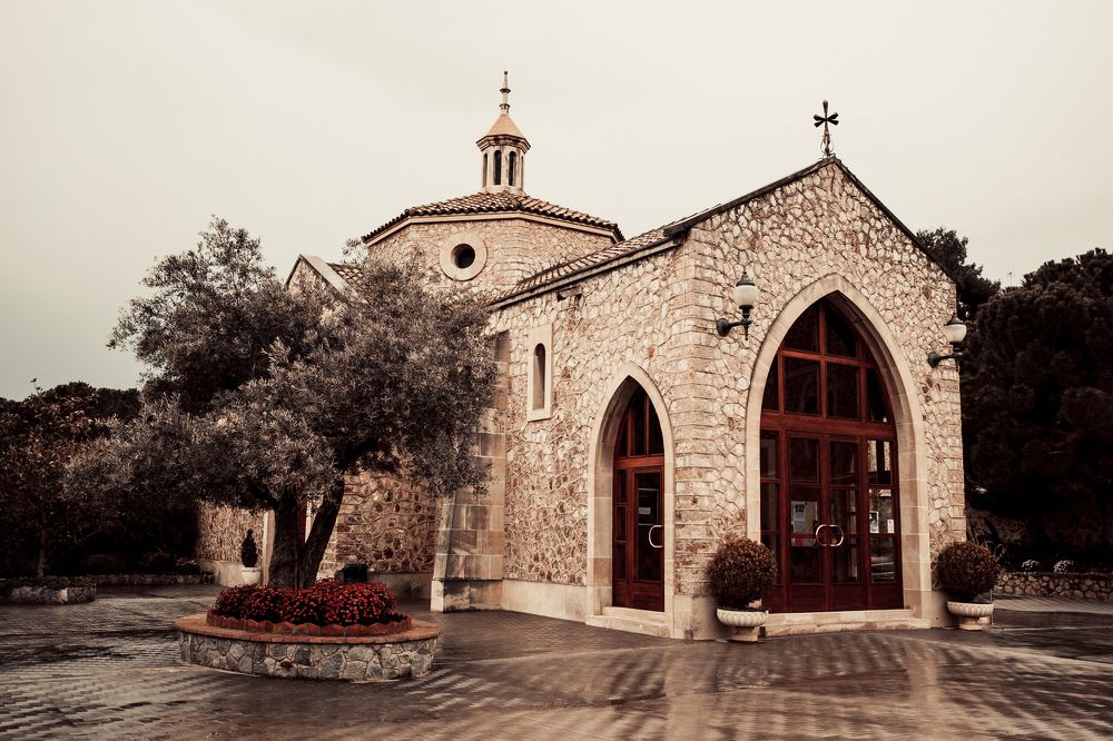 Фотография автора Елена Ельшина