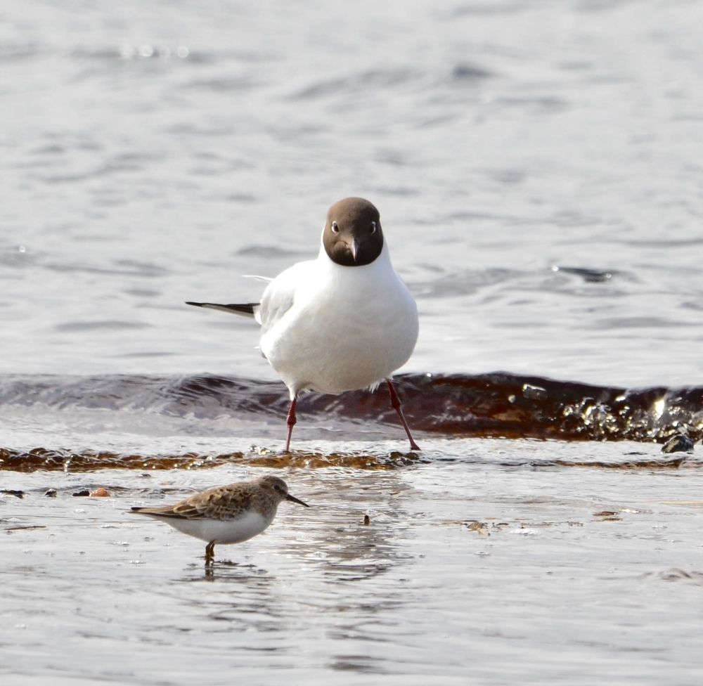 Photograph by Елена Красильникова