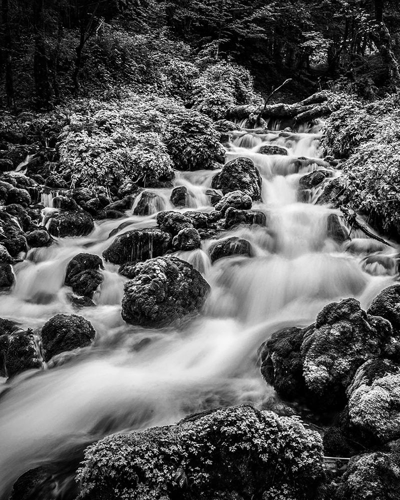 Фотография автора Даниил Третьяков