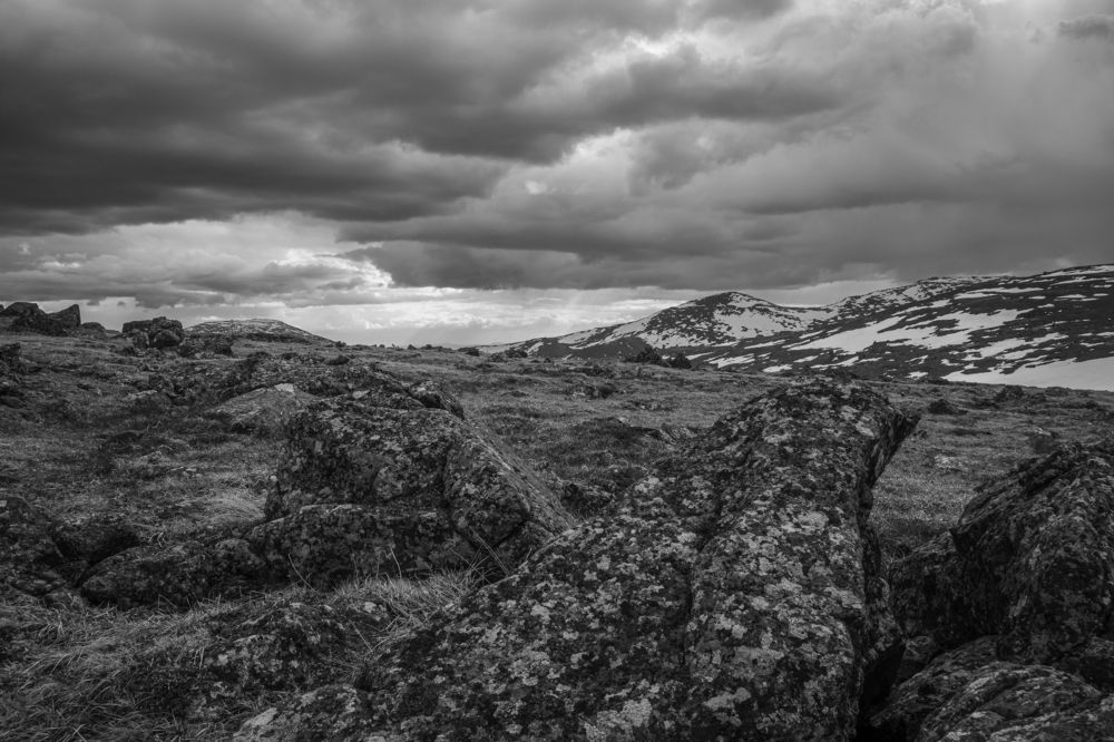 Photograph by Людмила Зяблова