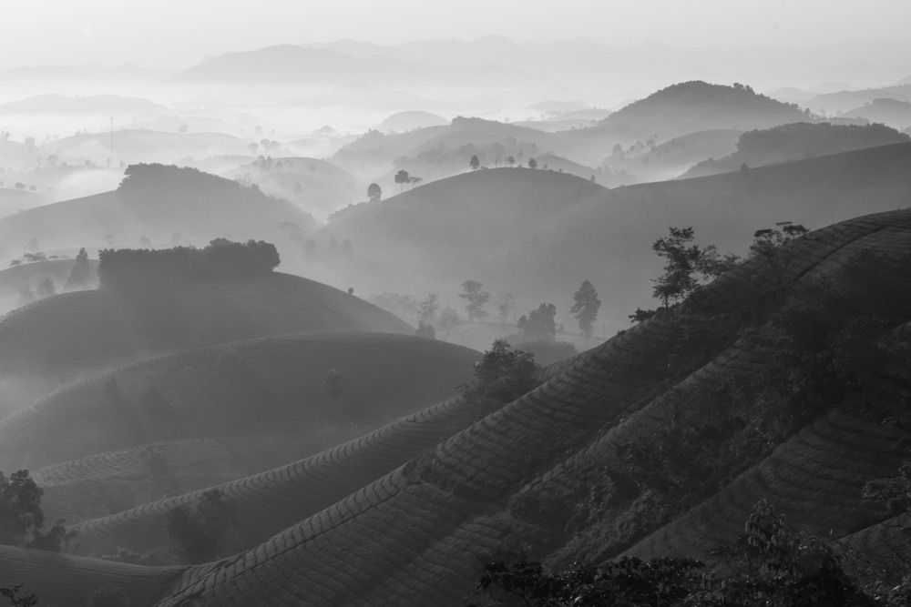 Photograph by Duc Nguyen