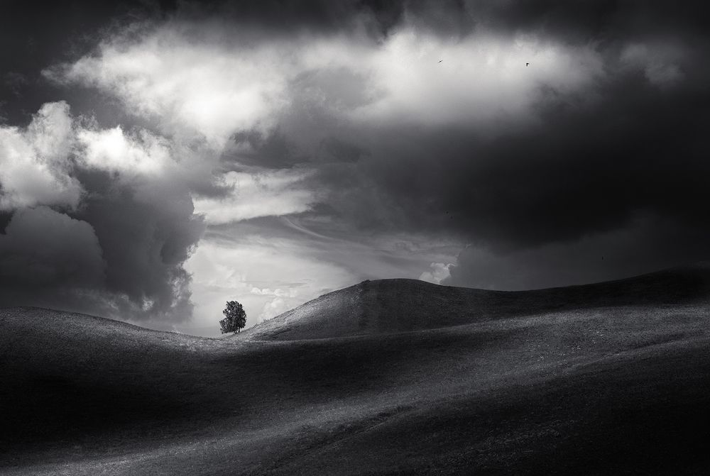 Photograph by Бирюкова Татьяна