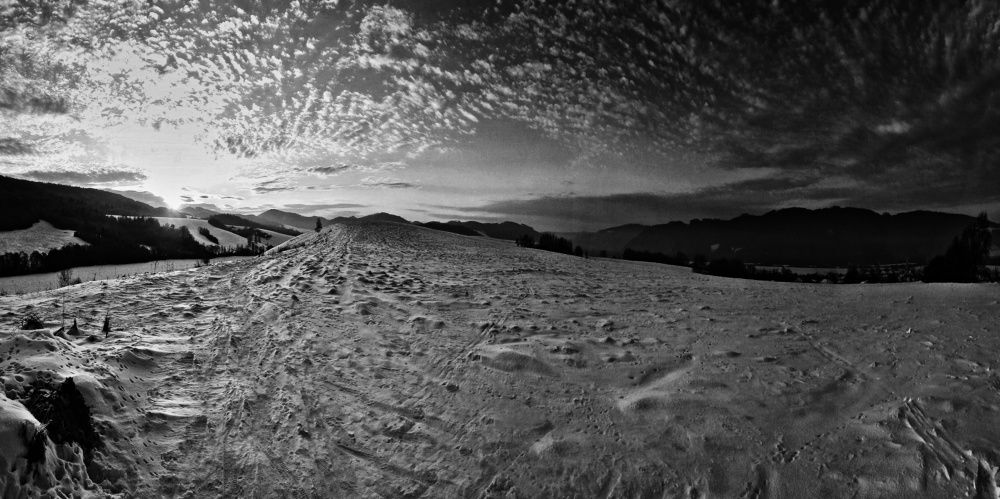 Photograph by Magdalena Kolenicova