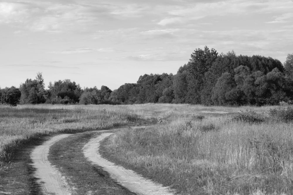 Photograph by Ирина Лапина