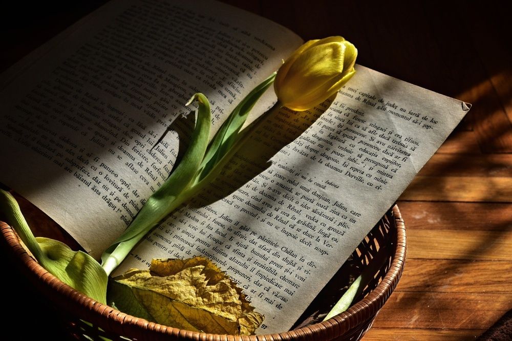 Photograph by Tabit Rodica