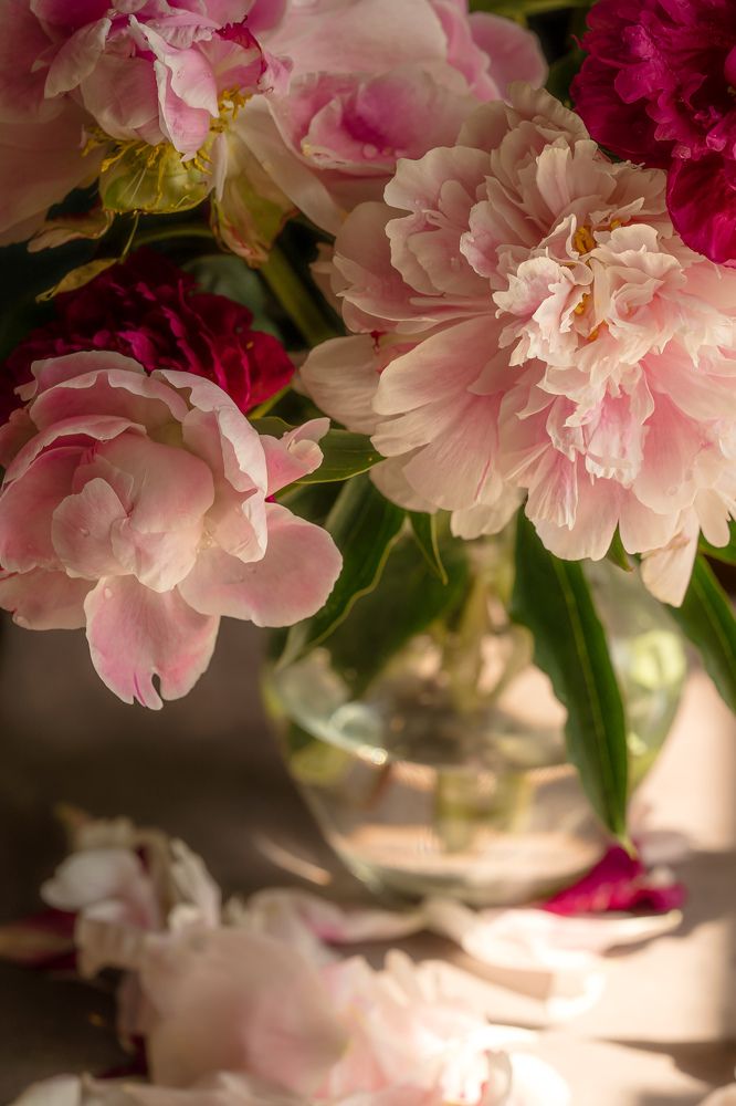 Photograph by Olesia Chepurchenko