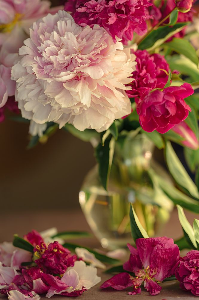 Photograph by Olesia Chepurchenko