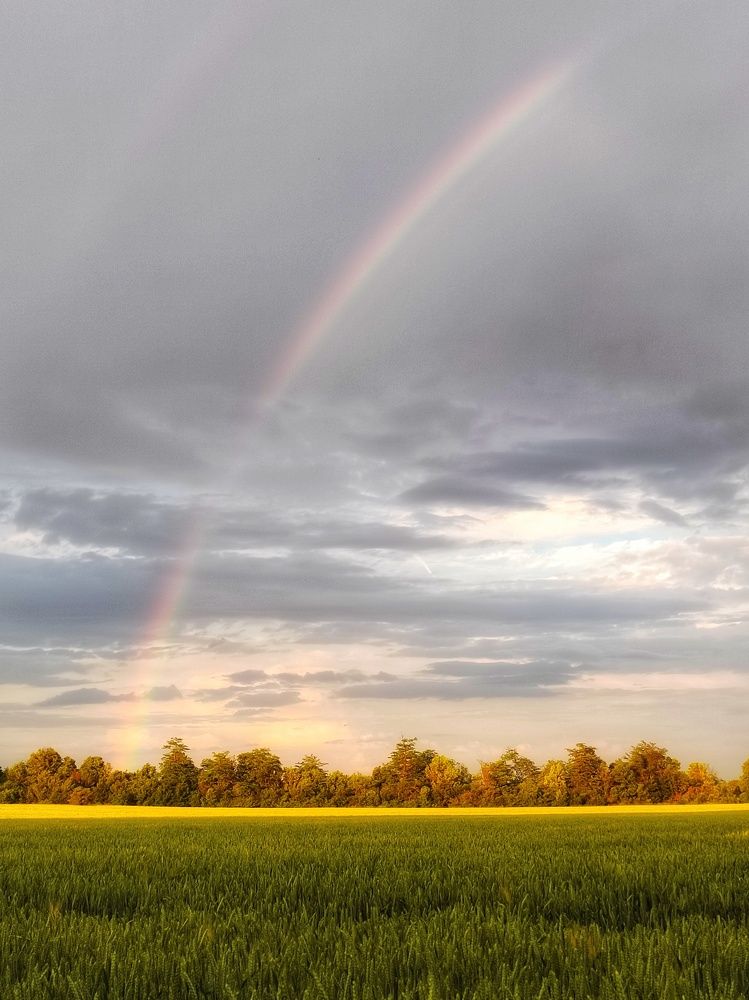 Photograph by Иван Локманов