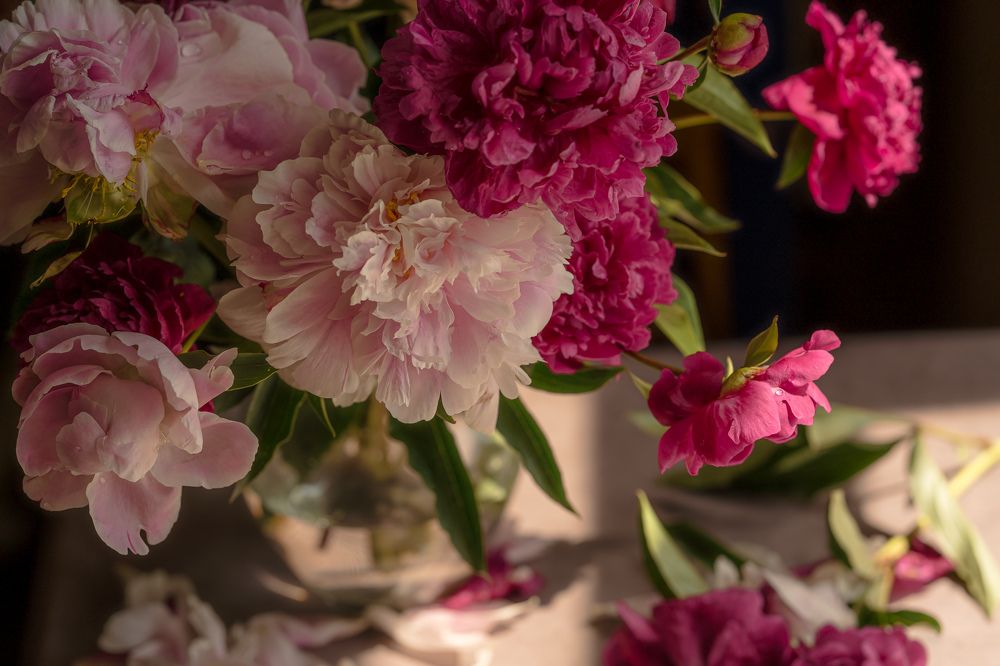 Photograph by Olesia Chepurchenko