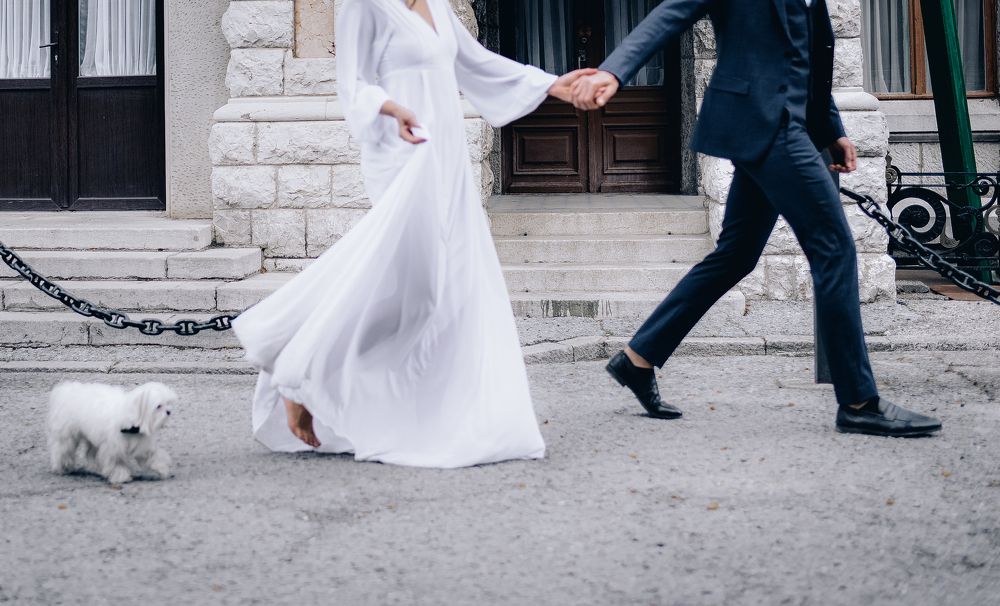 Photograph by Александр Друкар