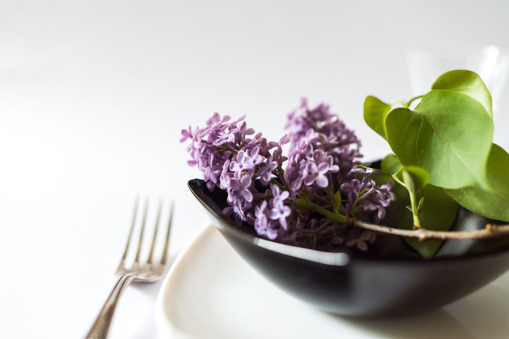 Photograph by Kristina Nutautiene