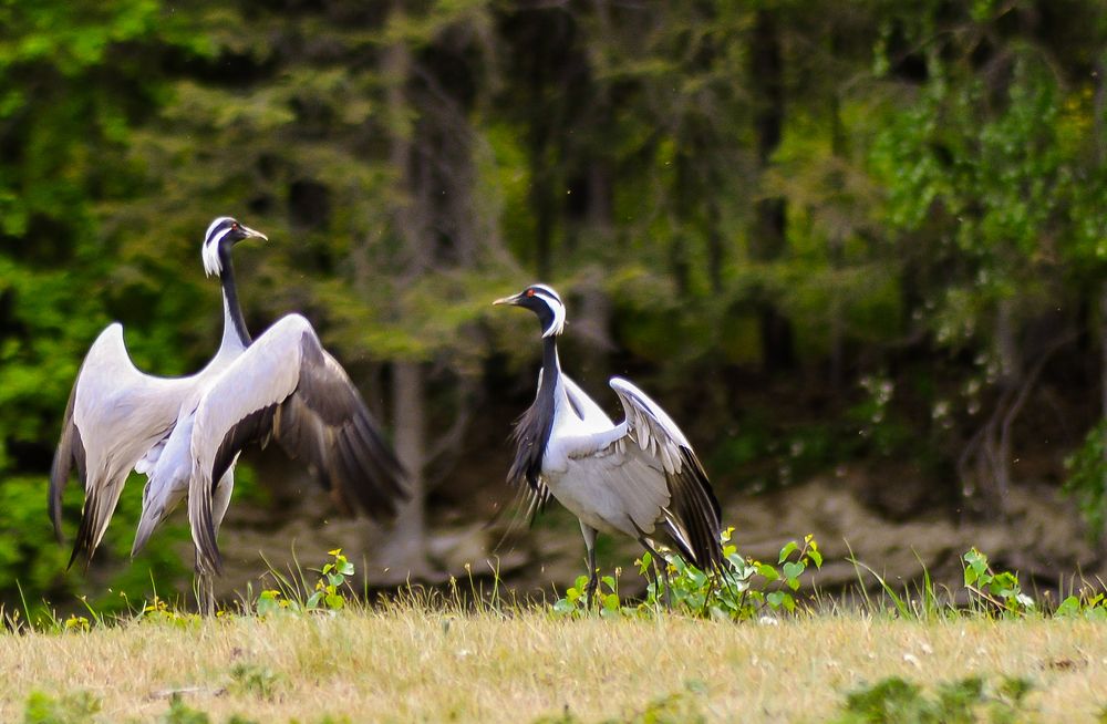 Photograph by Юлия Силина