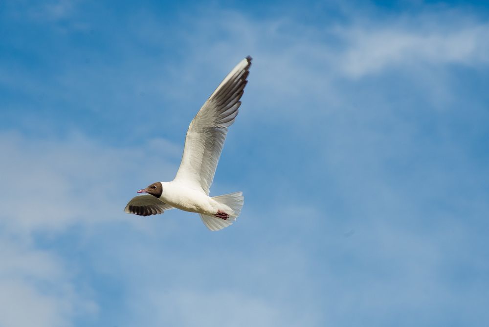 Photograph by Юлия Силина