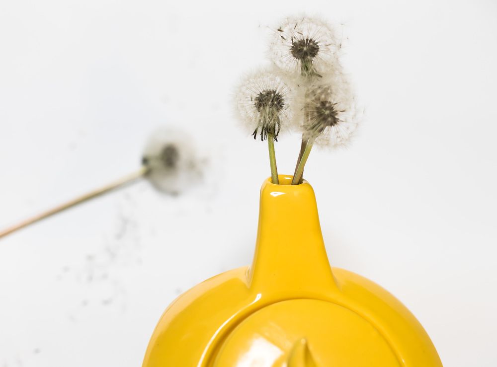 Photograph by Kristina Nutautiene