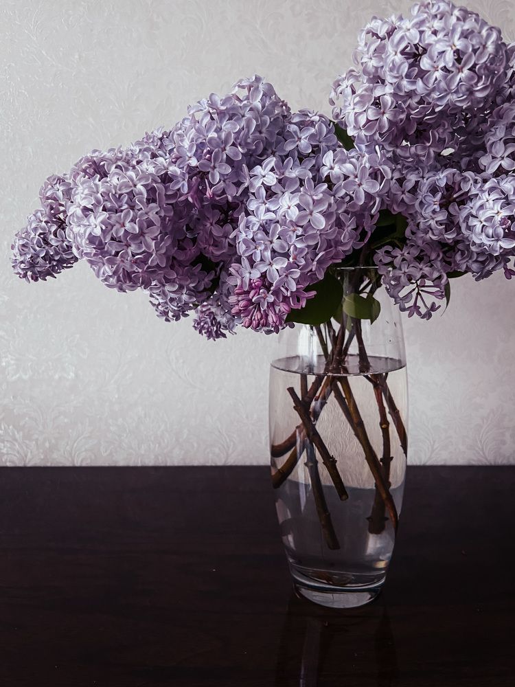 Photograph by Анна Леонова