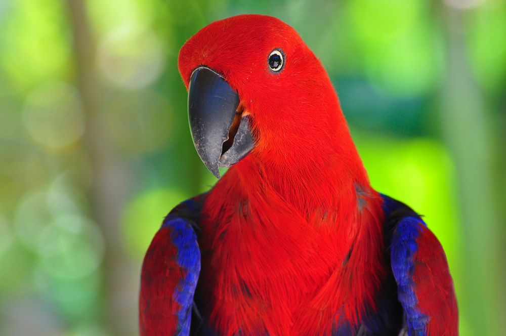 Photograph by Юлия Силина