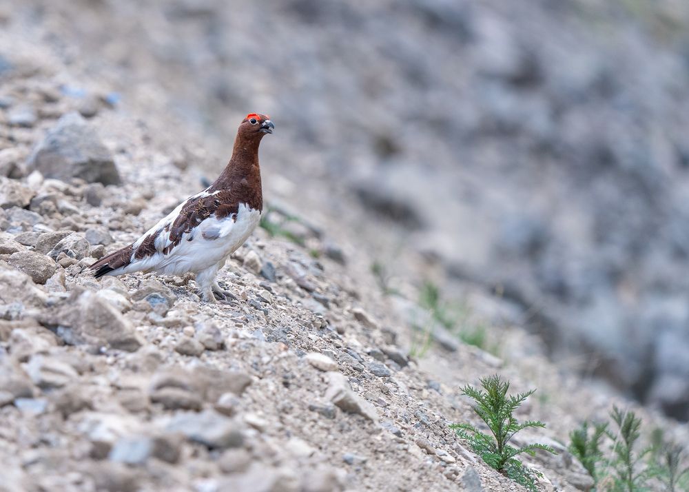 Photograph by Юрий Харченко